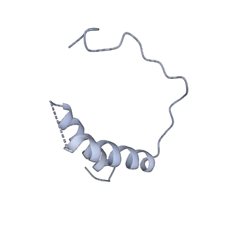 8774_5w64_D_v1-3
RNA Polymerase I Initial Transcribing Complex State 1