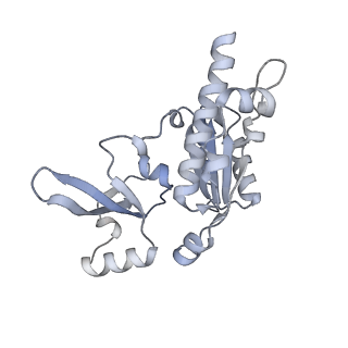 8774_5w64_E_v1-3
RNA Polymerase I Initial Transcribing Complex State 1