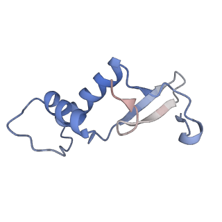 8774_5w64_F_v1-3
RNA Polymerase I Initial Transcribing Complex State 1