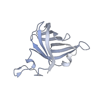 8774_5w64_H_v1-3
RNA Polymerase I Initial Transcribing Complex State 1