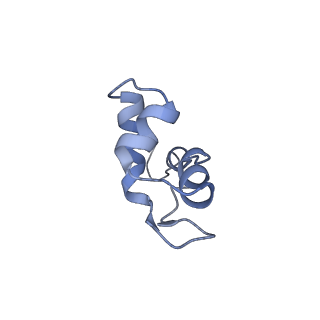 8774_5w64_J_v1-3
RNA Polymerase I Initial Transcribing Complex State 1