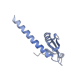 8774_5w64_K_v1-3
RNA Polymerase I Initial Transcribing Complex State 1