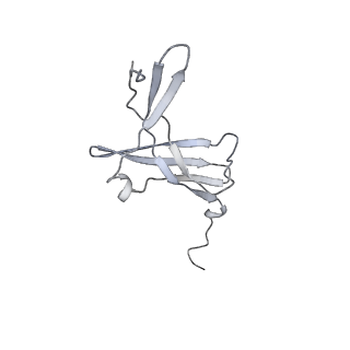 8774_5w64_M_v1-3
RNA Polymerase I Initial Transcribing Complex State 1