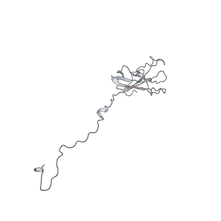 8774_5w64_N_v1-3
RNA Polymerase I Initial Transcribing Complex State 1
