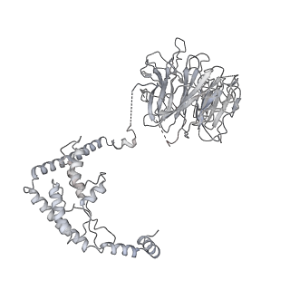8774_5w64_O_v1-3
RNA Polymerase I Initial Transcribing Complex State 1
