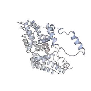 8774_5w64_P_v1-3
RNA Polymerase I Initial Transcribing Complex State 1
