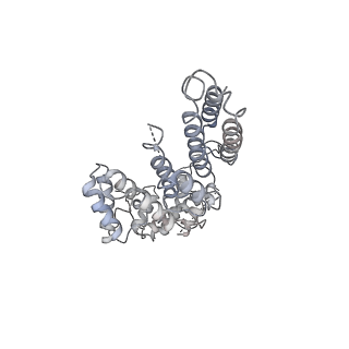 8774_5w64_Q_v1-3
RNA Polymerase I Initial Transcribing Complex State 1