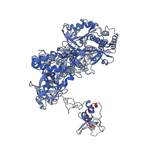 8775_5w65_B_v1-4
RNA polymerase I Initial Transcribing Complex State 2