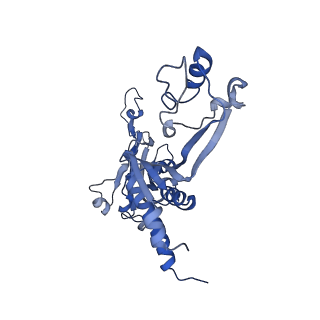 8775_5w65_C_v1-4
RNA polymerase I Initial Transcribing Complex State 2