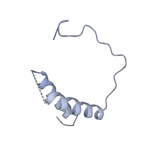 8775_5w65_D_v1-4
RNA polymerase I Initial Transcribing Complex State 2