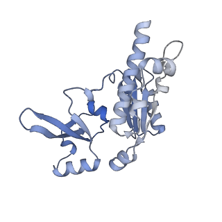 8775_5w65_E_v1-4
RNA polymerase I Initial Transcribing Complex State 2