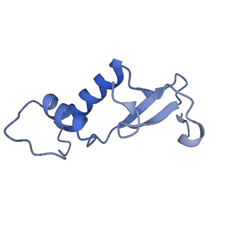 8775_5w65_F_v1-4
RNA polymerase I Initial Transcribing Complex State 2