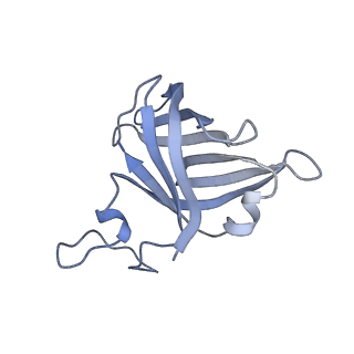 8775_5w65_H_v1-4
RNA polymerase I Initial Transcribing Complex State 2