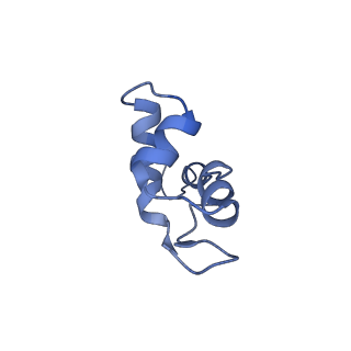 8775_5w65_J_v1-4
RNA polymerase I Initial Transcribing Complex State 2