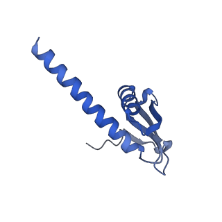 8775_5w65_K_v1-4
RNA polymerase I Initial Transcribing Complex State 2