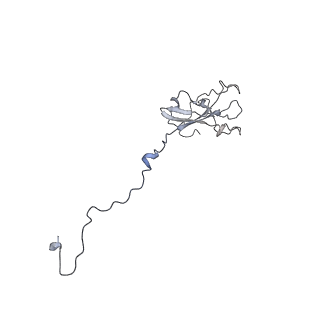 8775_5w65_N_v1-4
RNA polymerase I Initial Transcribing Complex State 2