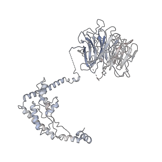 8775_5w65_O_v1-4
RNA polymerase I Initial Transcribing Complex State 2