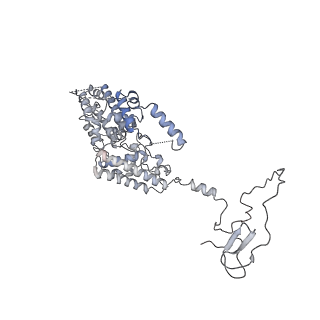 8775_5w65_P_v1-4
RNA polymerase I Initial Transcribing Complex State 2