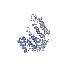 8775_5w65_Q_v1-4
RNA polymerase I Initial Transcribing Complex State 2