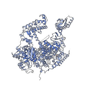 8776_5w66_A_v1-4
RNA polymerase I Initial Transcribing Complex State 3