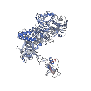 8776_5w66_B_v1-4
RNA polymerase I Initial Transcribing Complex State 3