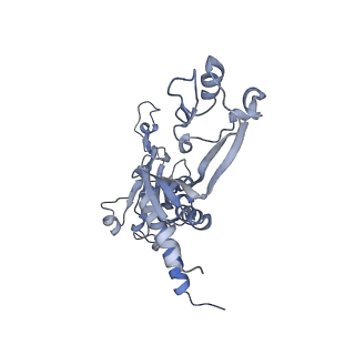 8776_5w66_C_v1-4
RNA polymerase I Initial Transcribing Complex State 3