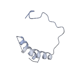 8776_5w66_D_v1-4
RNA polymerase I Initial Transcribing Complex State 3