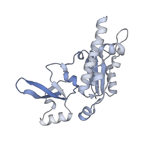 8776_5w66_E_v1-4
RNA polymerase I Initial Transcribing Complex State 3