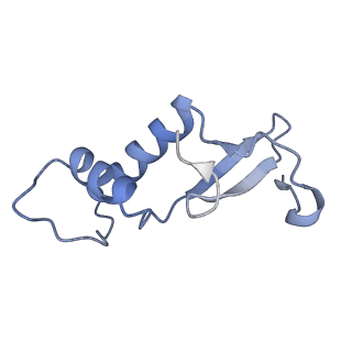 8776_5w66_F_v1-4
RNA polymerase I Initial Transcribing Complex State 3