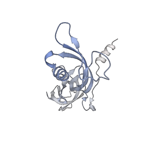 8776_5w66_G_v1-4
RNA polymerase I Initial Transcribing Complex State 3