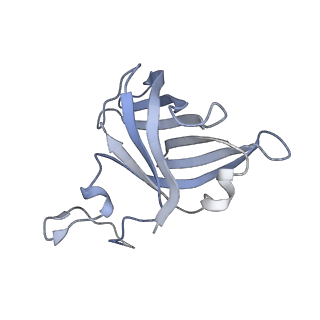 8776_5w66_H_v1-4
RNA polymerase I Initial Transcribing Complex State 3
