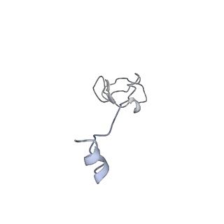 8776_5w66_I_v1-4
RNA polymerase I Initial Transcribing Complex State 3