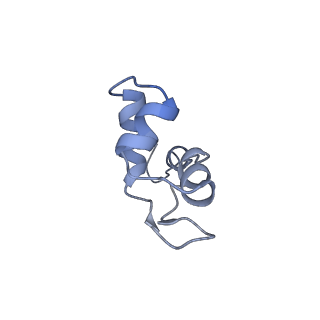 8776_5w66_J_v1-4
RNA polymerase I Initial Transcribing Complex State 3
