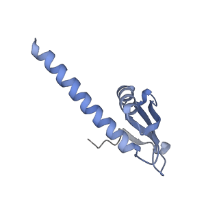 8776_5w66_K_v1-4
RNA polymerase I Initial Transcribing Complex State 3