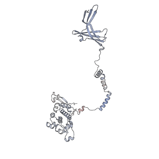 8776_5w66_M_v1-4
RNA polymerase I Initial Transcribing Complex State 3