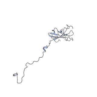 8776_5w66_N_v1-4
RNA polymerase I Initial Transcribing Complex State 3