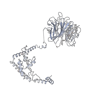 8776_5w66_O_v1-4
RNA polymerase I Initial Transcribing Complex State 3