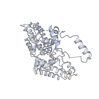8776_5w66_P_v1-4
RNA polymerase I Initial Transcribing Complex State 3