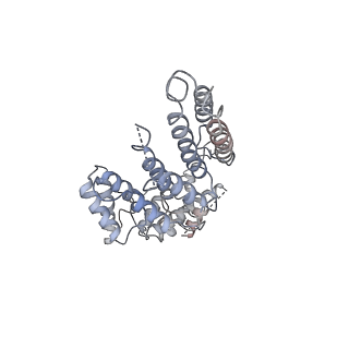 8776_5w66_Q_v1-4
RNA polymerase I Initial Transcribing Complex State 3