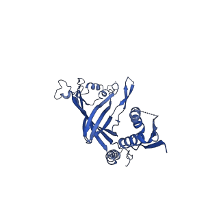 8778_5w68_A_v1-5
Type II secretin from Enteropathogenic Escherichia coli - GspD