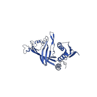 8778_5w68_B_v1-4
Type II secretin from Enteropathogenic Escherichia coli - GspD