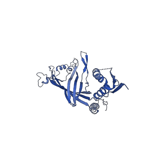 8778_5w68_B_v1-5
Type II secretin from Enteropathogenic Escherichia coli - GspD