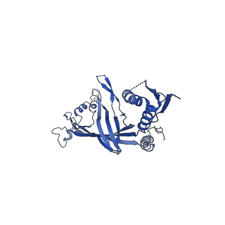 8778_5w68_C_v1-5
Type II secretin from Enteropathogenic Escherichia coli - GspD