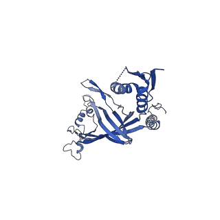 8778_5w68_D_v1-5
Type II secretin from Enteropathogenic Escherichia coli - GspD