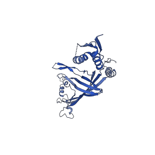 8778_5w68_E_v1-5
Type II secretin from Enteropathogenic Escherichia coli - GspD