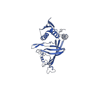 8778_5w68_F_v1-5
Type II secretin from Enteropathogenic Escherichia coli - GspD