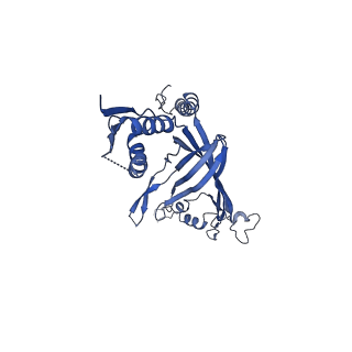 8778_5w68_H_v1-5
Type II secretin from Enteropathogenic Escherichia coli - GspD