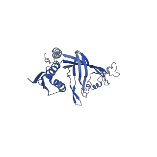 8778_5w68_J_v1-5
Type II secretin from Enteropathogenic Escherichia coli - GspD