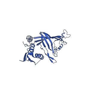 8778_5w68_K_v1-5
Type II secretin from Enteropathogenic Escherichia coli - GspD