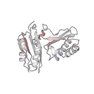 21571_6w7m_C_v1-2
30S-Inactive-high-Mg2+ + carbon layer